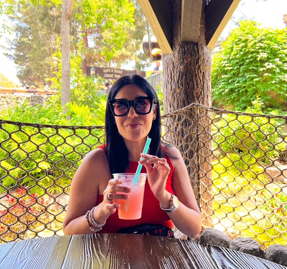 Top Disneyland Lunch Family-Friendly Pick: Hungry Bear Barbecue Jamboree